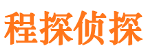 居巢市婚外情调查